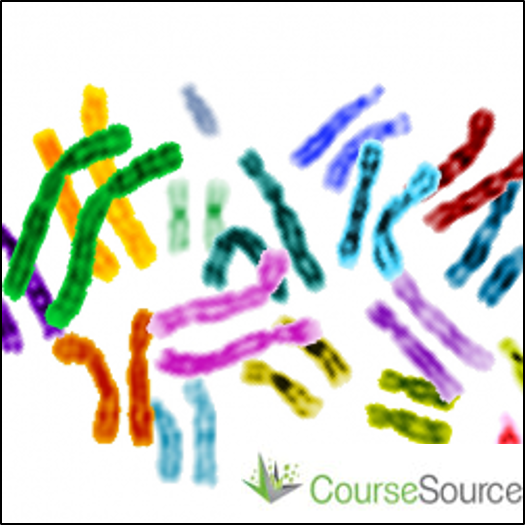 Homologous chromosomes? Exploring human sex chromosomes, sex determination and sex reversal using bioinformatics approaches