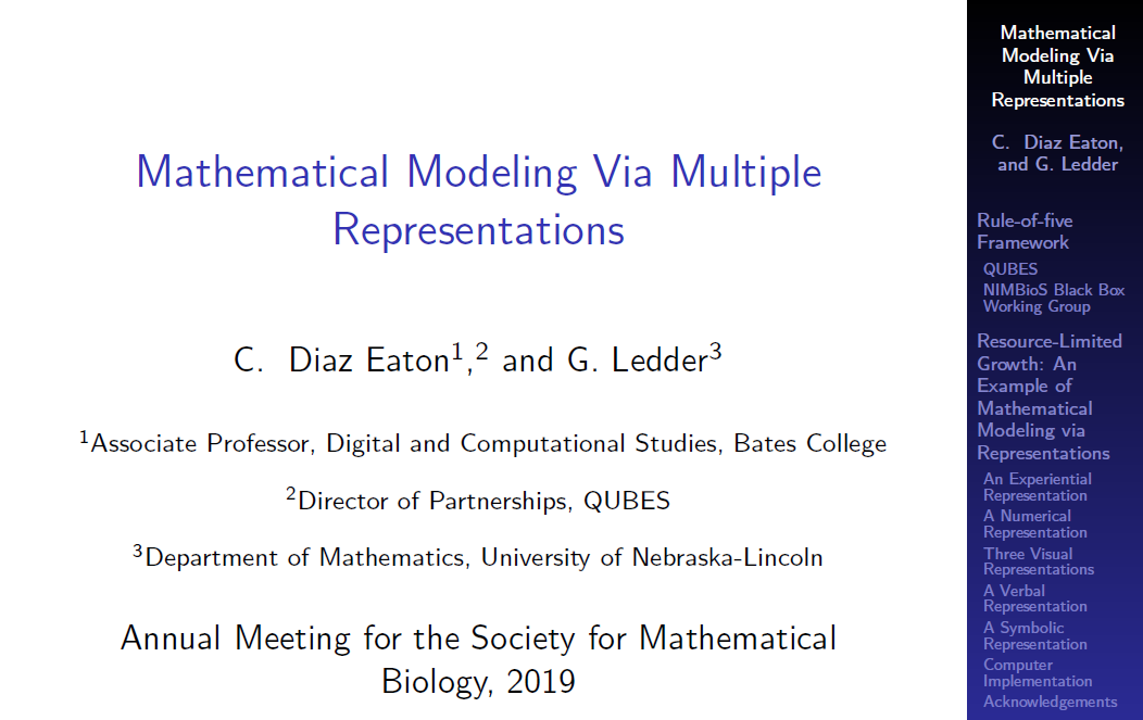 Mathematical Modeling via Multiple Representations