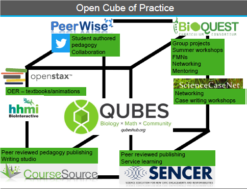 Open QUBES - A Faculty Use Case of Open Practice
