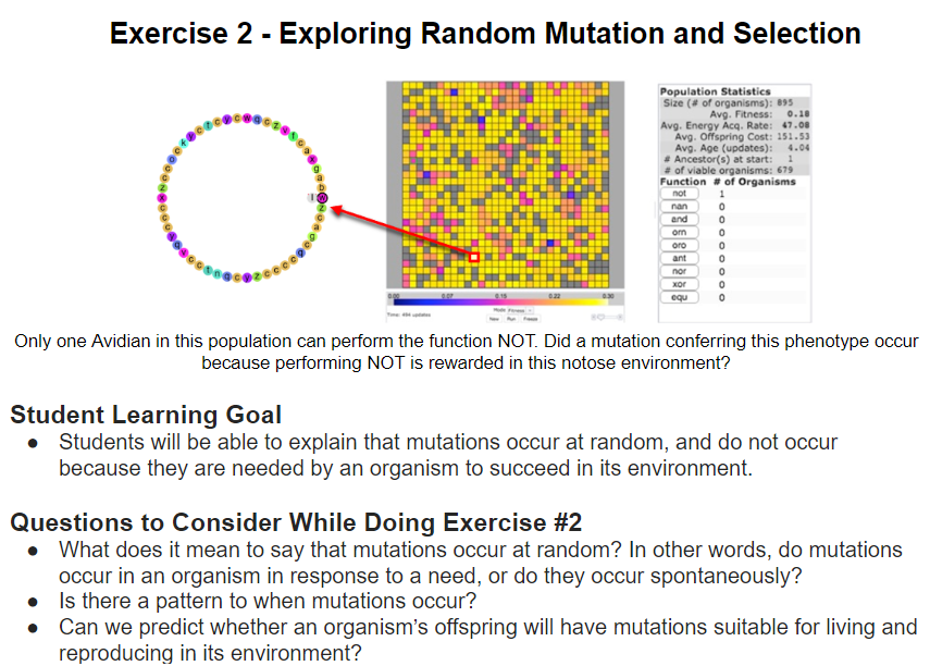 Exploring Random Mutation and Selection: Avida-Ed Lab Book Exercise 2