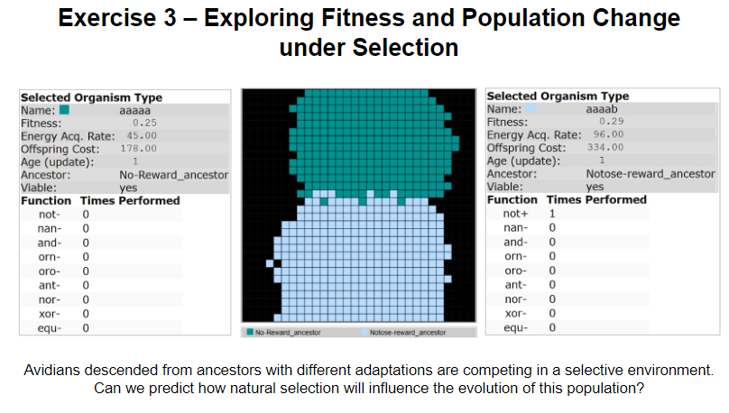 Exploring Fitness and Population Change  under Selection: Avida-Ed Lab Book Exercise 3