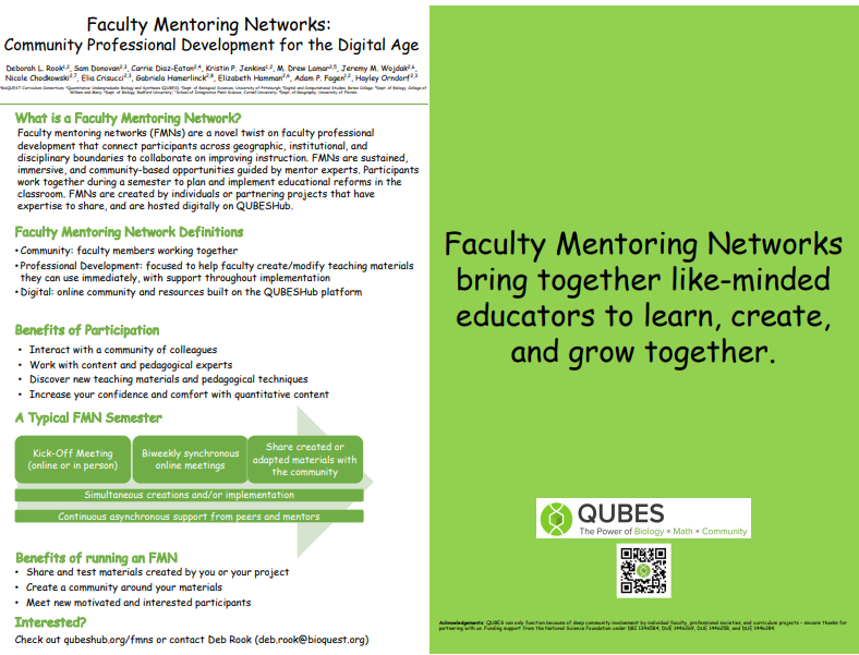 Faculty Mentoring Networks: Community Professional Development for the Digital Age