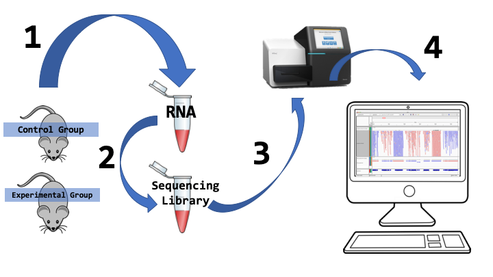 GEA Introductory lesson on RNA-Seq