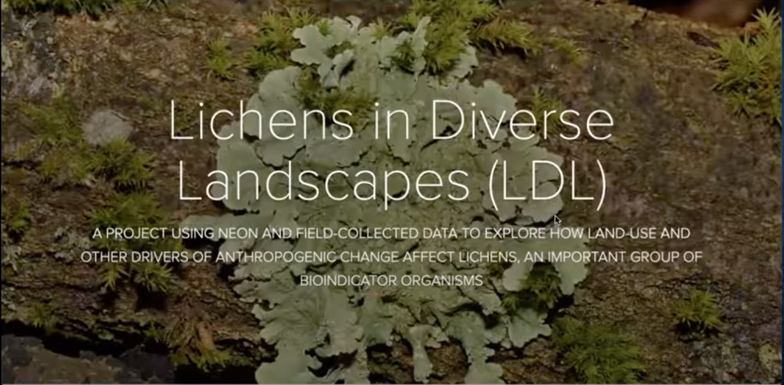 Lichens in Diverse Landscapes: EREN-NEON Flexible Learning Project