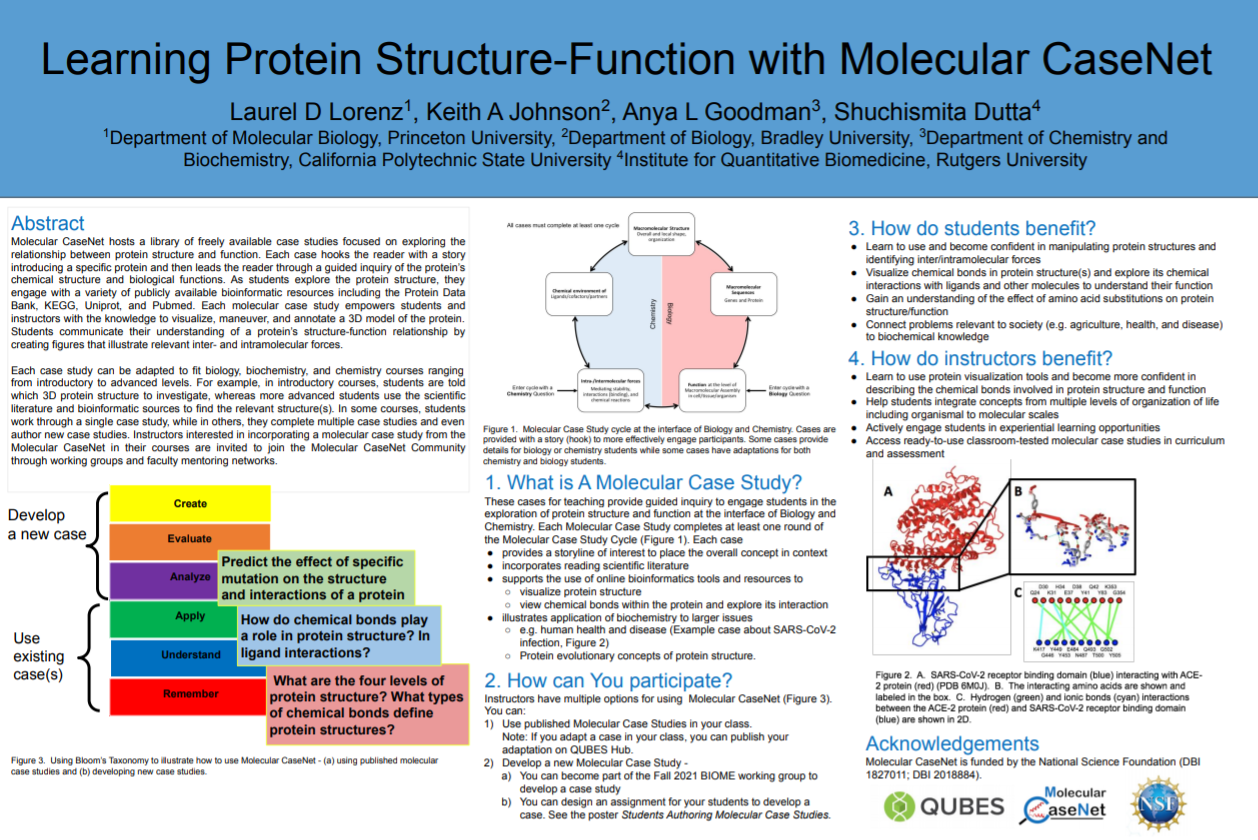Learning about Protein Structure and Function with Molecular CaseNet