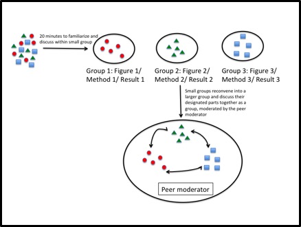 "Reading groups" in an undergraduate biology course: A peer-based model to help students develop skills to evaluate primary literature
