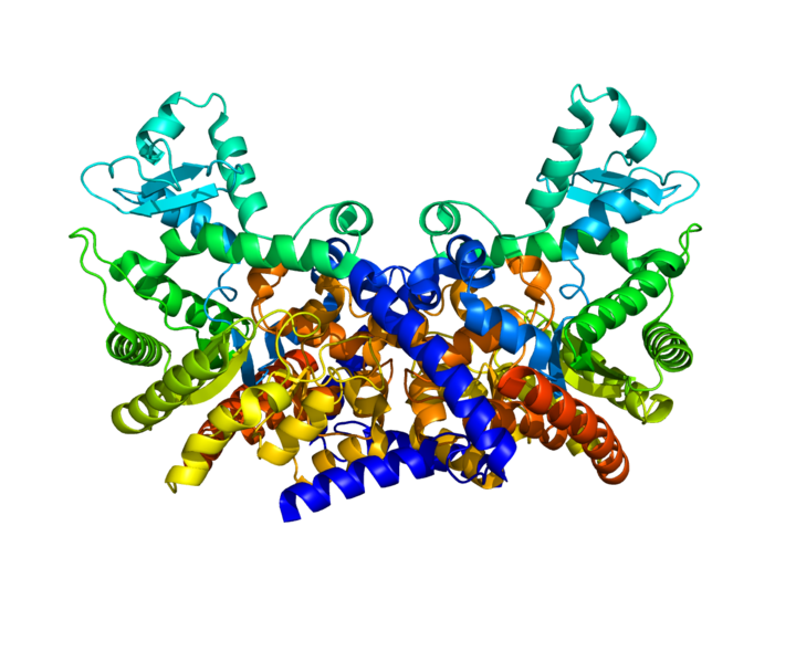 Understanding Protein Domains: A Modular Approach
