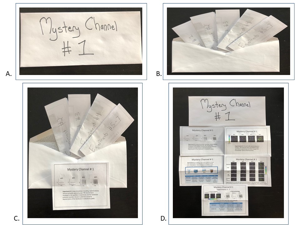 Figure 2. Envelope set up for mystery TRP channel #1