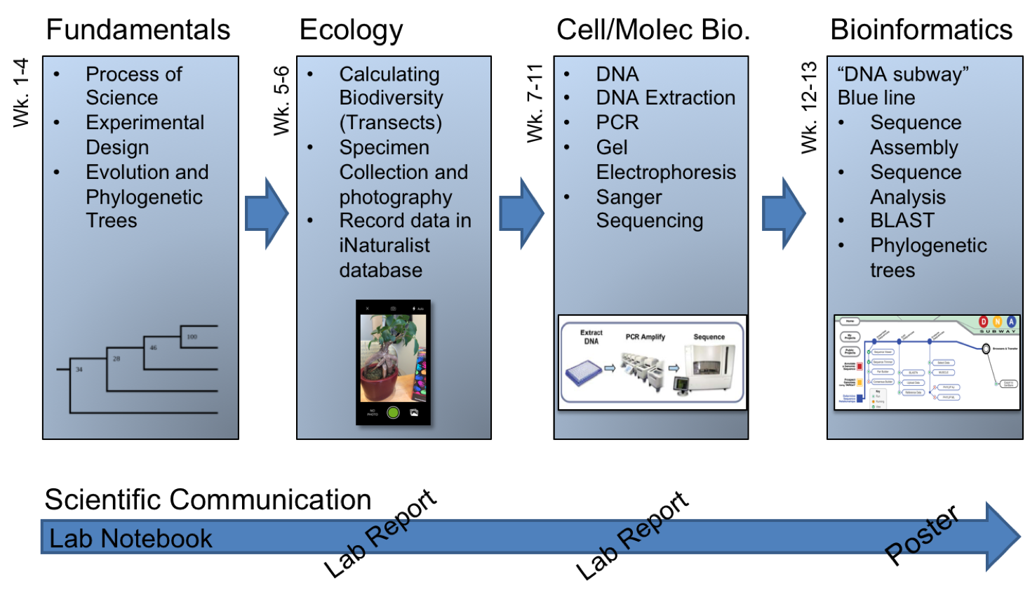 Figure 1. Overview of the topics covered during this semester-long DNA barcoding lab experience
