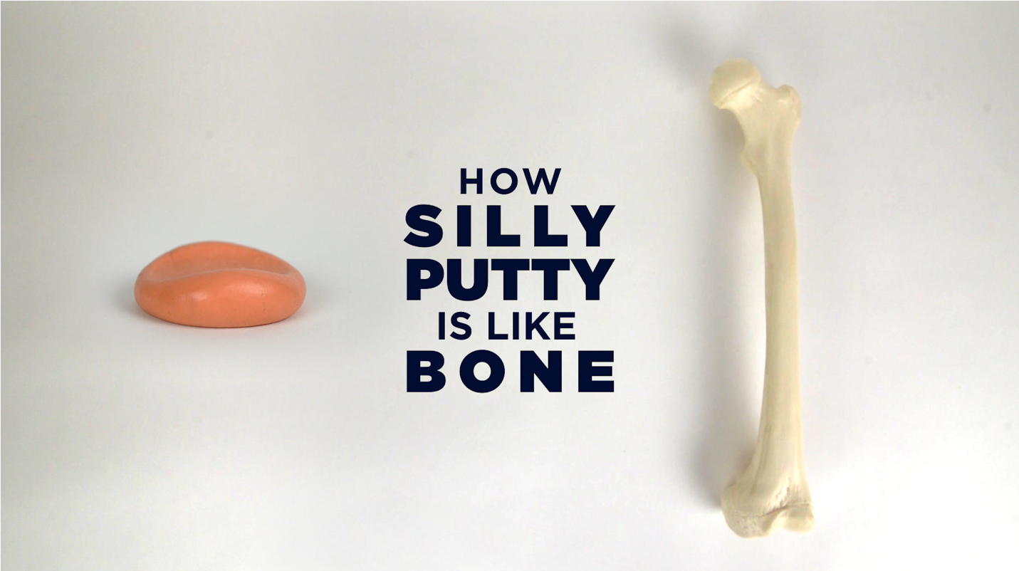 What do Bone and Silly Putty® have in Common?: A Lesson on Bone Viscoelasticity