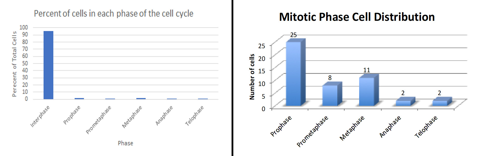 Figure 2. Examples of results submitted by students after analyzing the number of cells in each stage of the cell cycle and cell division.