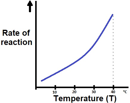 Figure 1: Graph of Reaction Rate vs Temperature