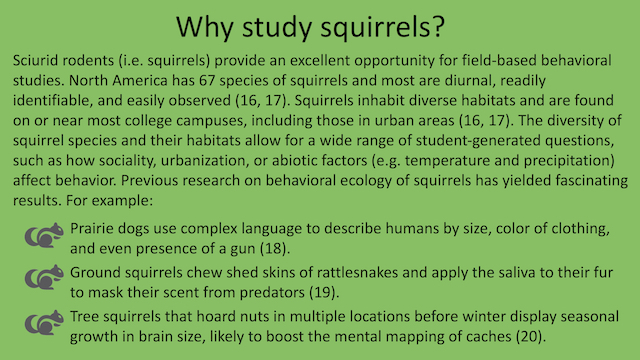 Figure 1. Why study squirrels?
