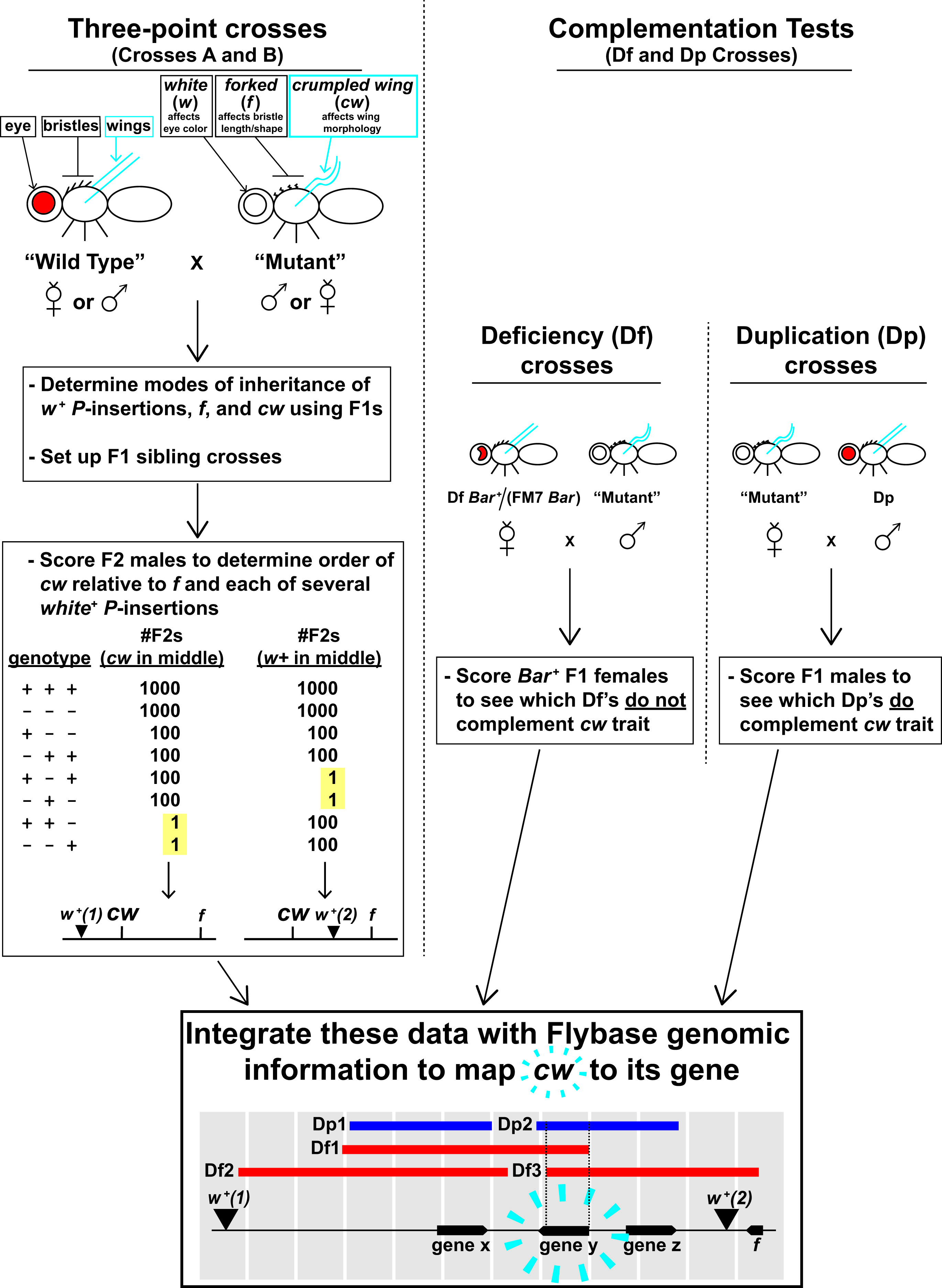 Figure 2. Overview of Fly Lab experiments. 