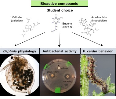 Student-Driven Design-and-Improve Modules to Explore the Effect of Plant Bioactive Compounds in Three Model Organisms