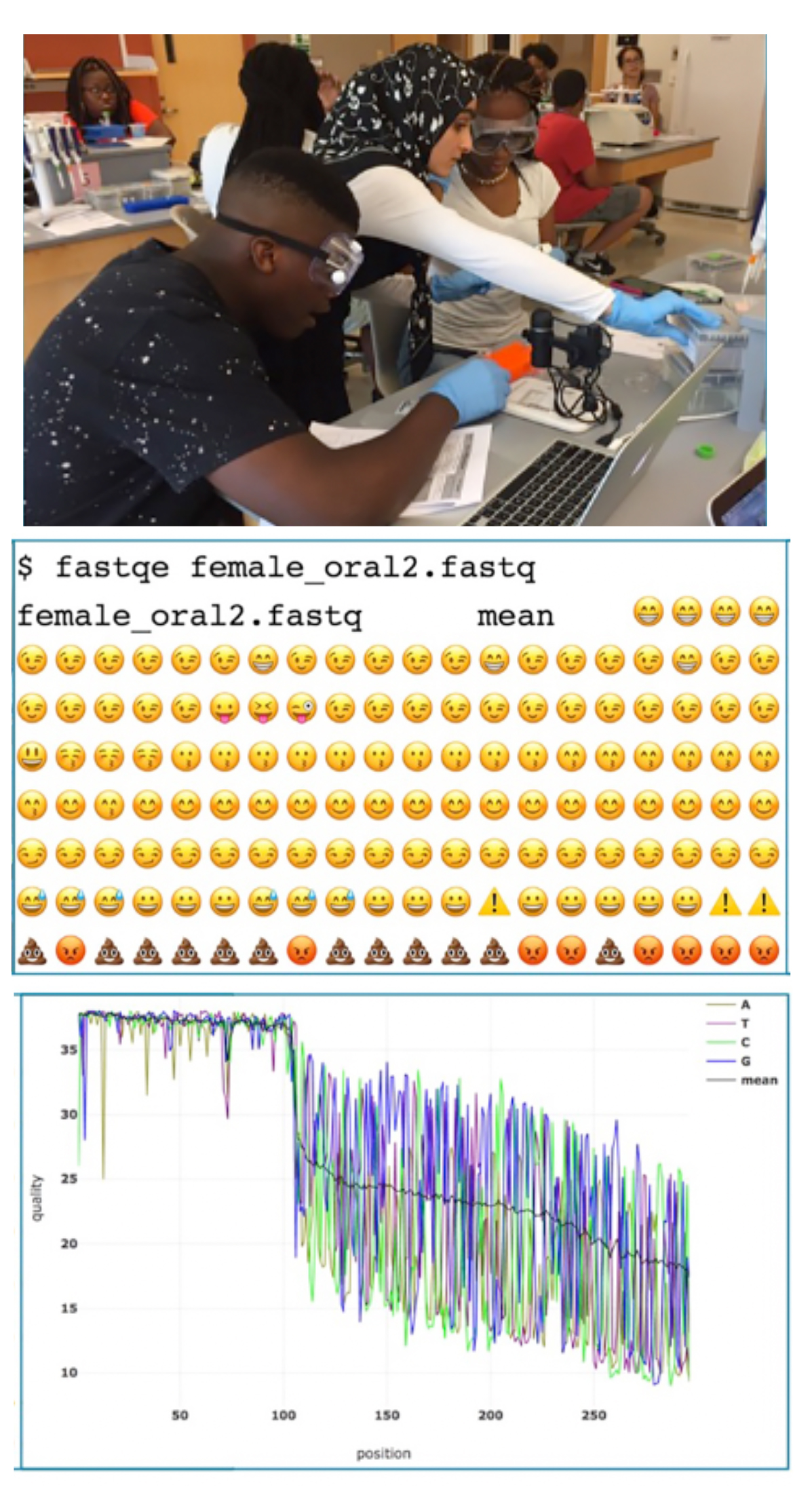A Fun Introductory Command Line Lesson: Next Generation Sequencing Quality Analysis with Emoji!
