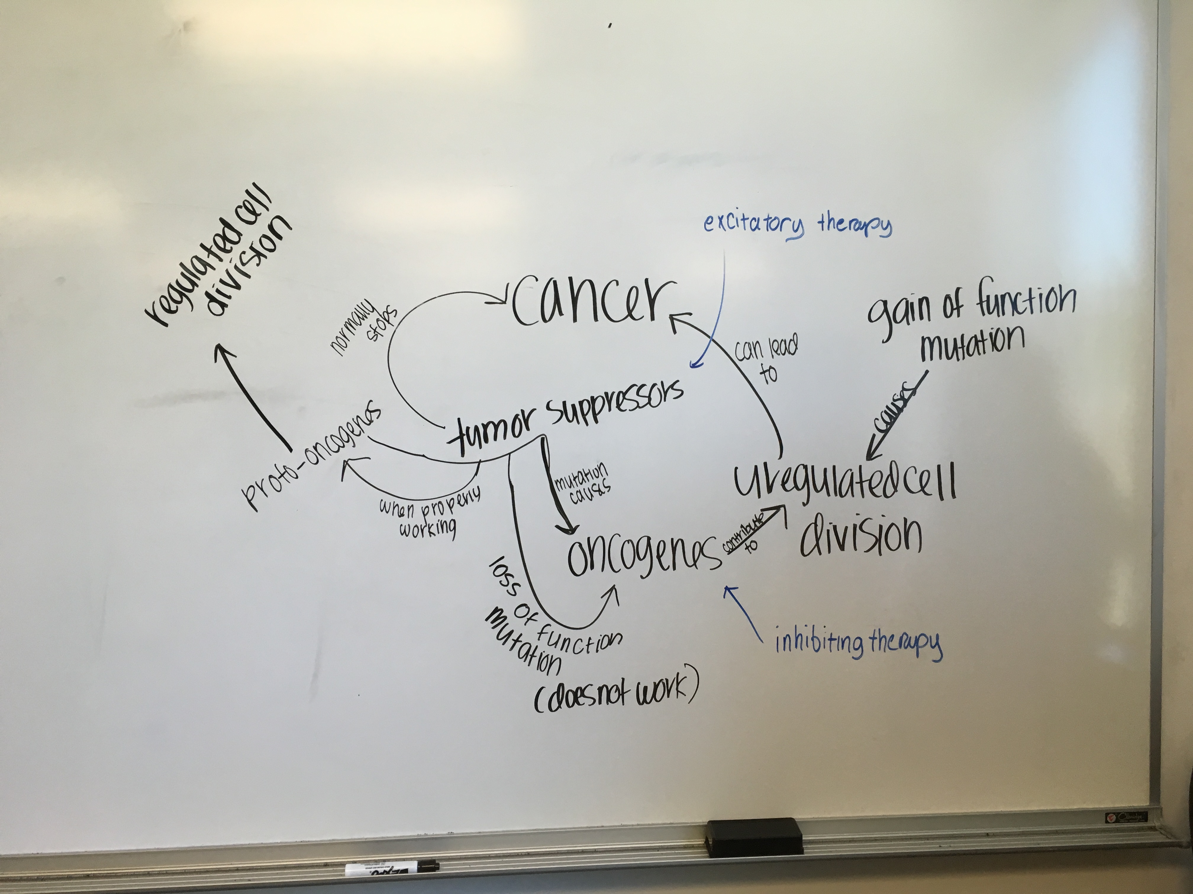 GMC: Genes, Mutations and Cancer - Group Concept Map Development