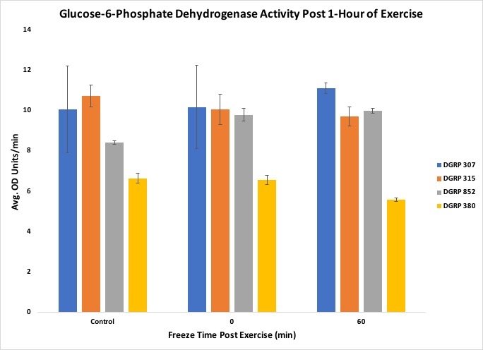 Figure 5. Results from the experiment showing Glucose-6-Phosphate Dehydrogenase activity