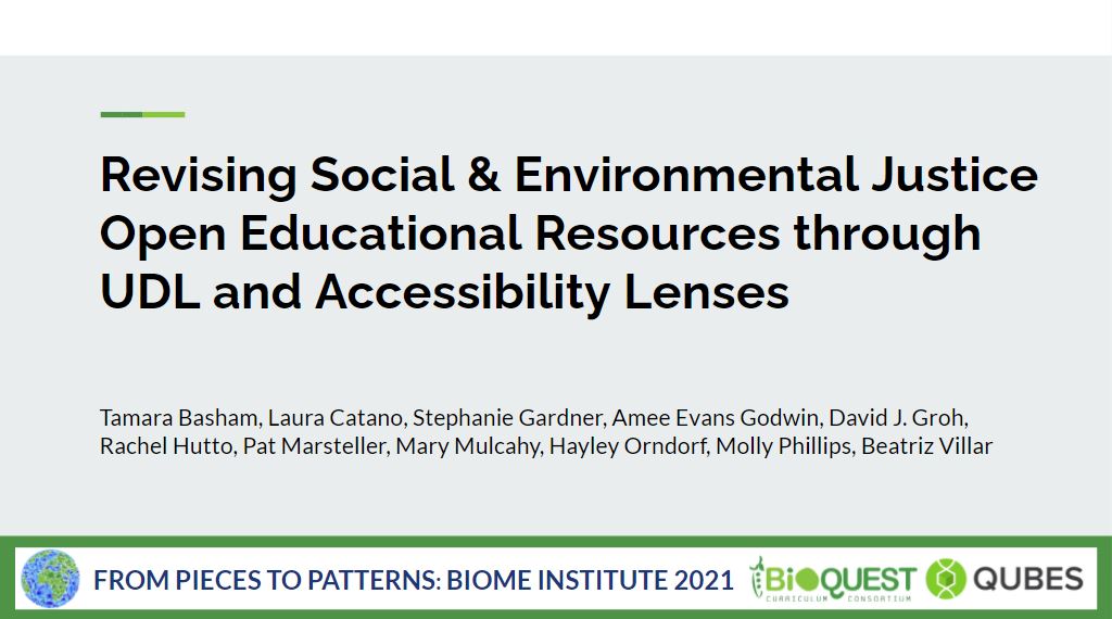 Revising Social & Environmental Justice Open Educational Resources through UDL and Accessibility Lenses