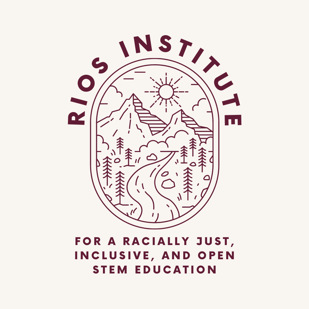 The RIOS Institute Strategic Plan
