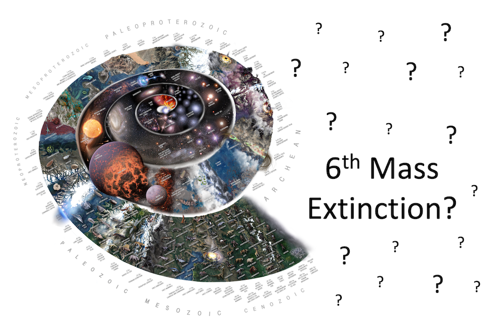 Is Earth Currently Undergoing a Sixth Mass Extinction?