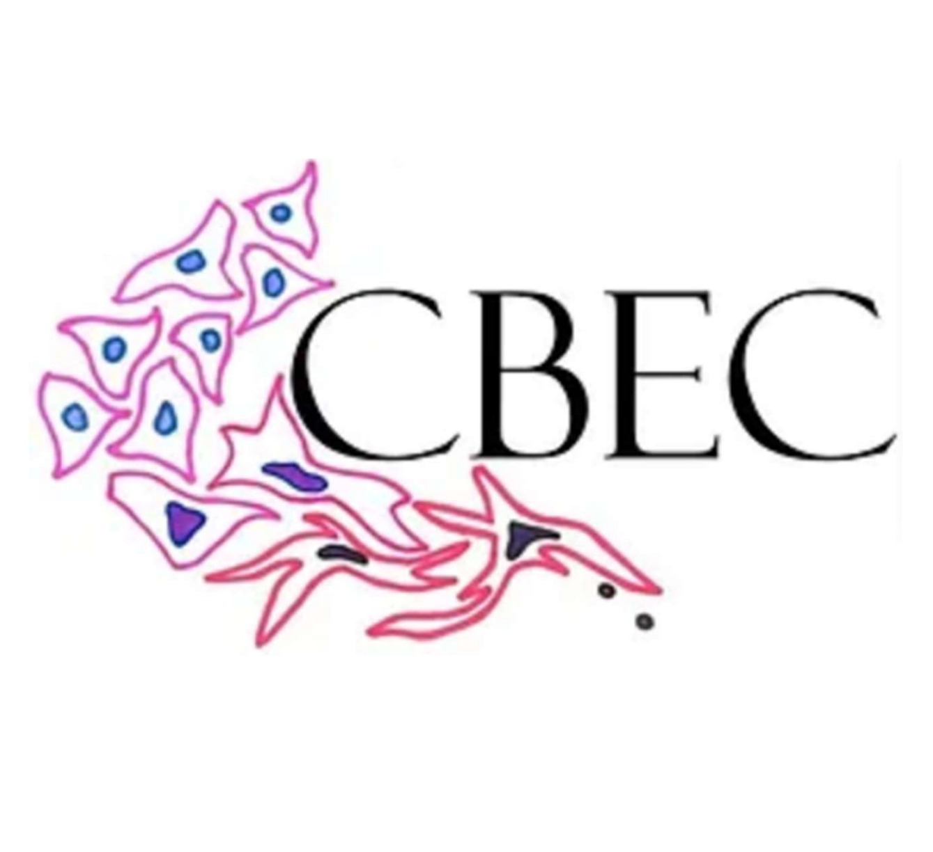 CBEC - Cell Biology Education Consortium (RCN-UBE Introduction)