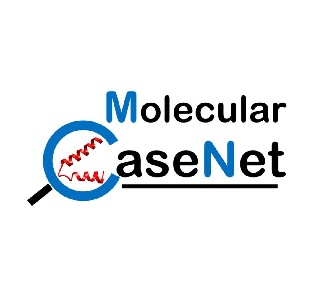 Molecular CaseNet - Developing and Using Molecular Case Studies at the Interface of Biology and Chemistry (RCN-UBE Introduction)