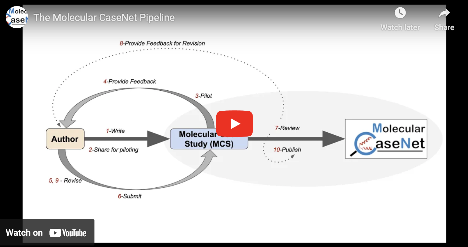 The Molecular CaseNet Pipeline for Authoring, Piloting, and Evaluating Molecular Case Studies