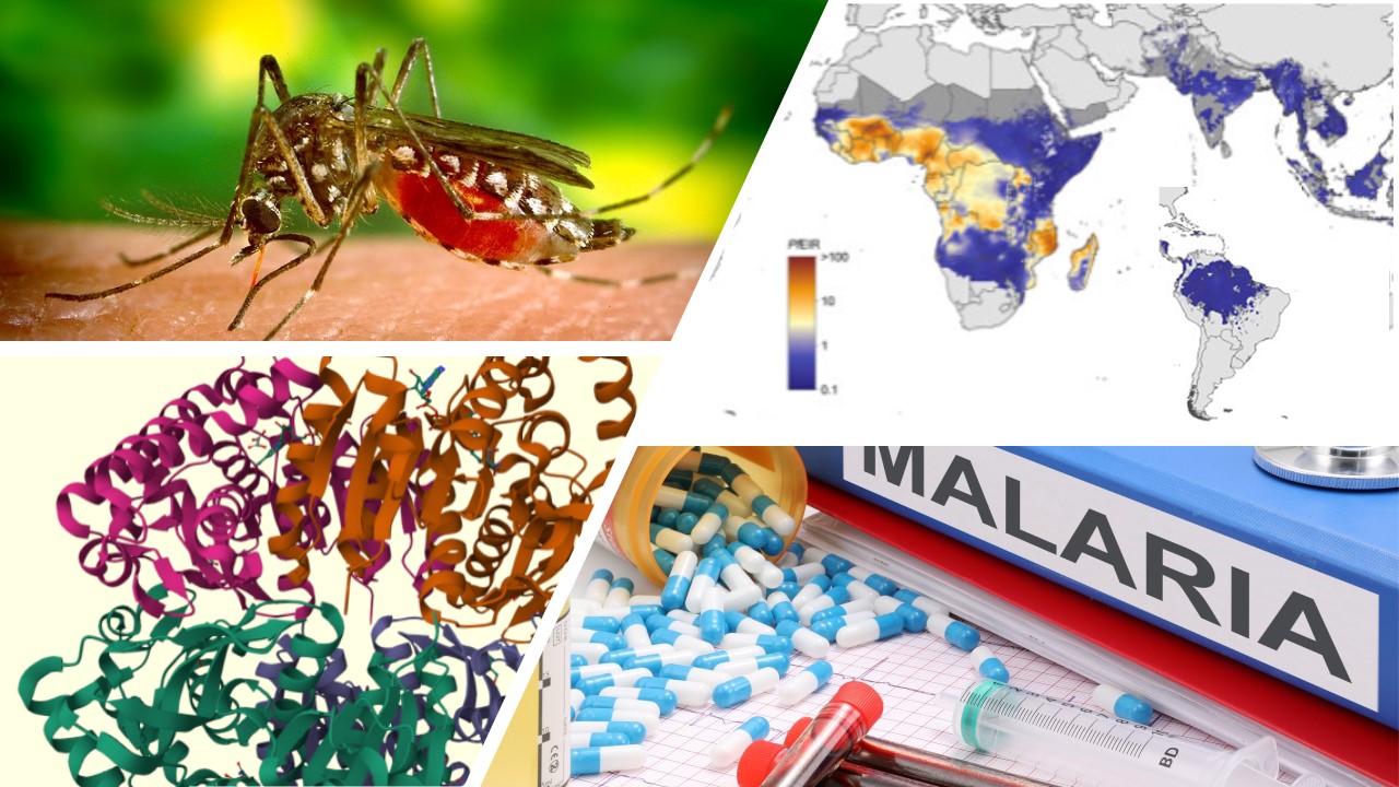 Maria vs Malaria - AR Adaptation