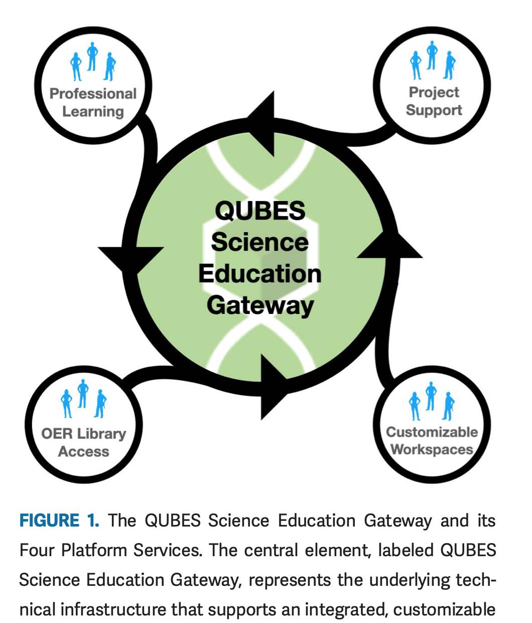Using Science Education Gateways to Improve Undergraduate STEM Education: The QUBES Platform as a Case Study