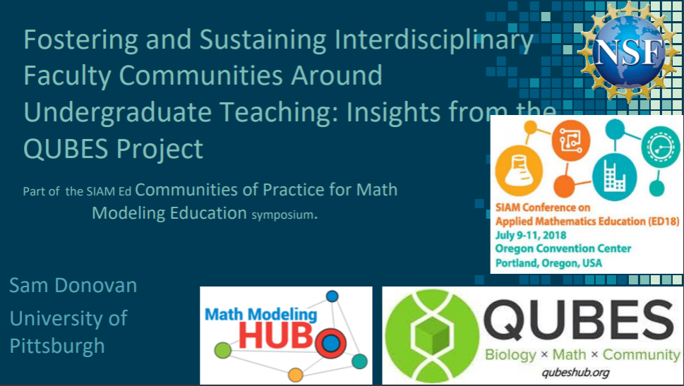Fostering and Sustaining Interdisciplinary Faculty Communities Around Undergraduate Teaching: Insights from the QUBES Project