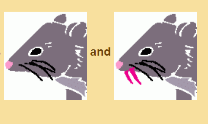 More Mice with Fangs: Intermediate Punnett Squares