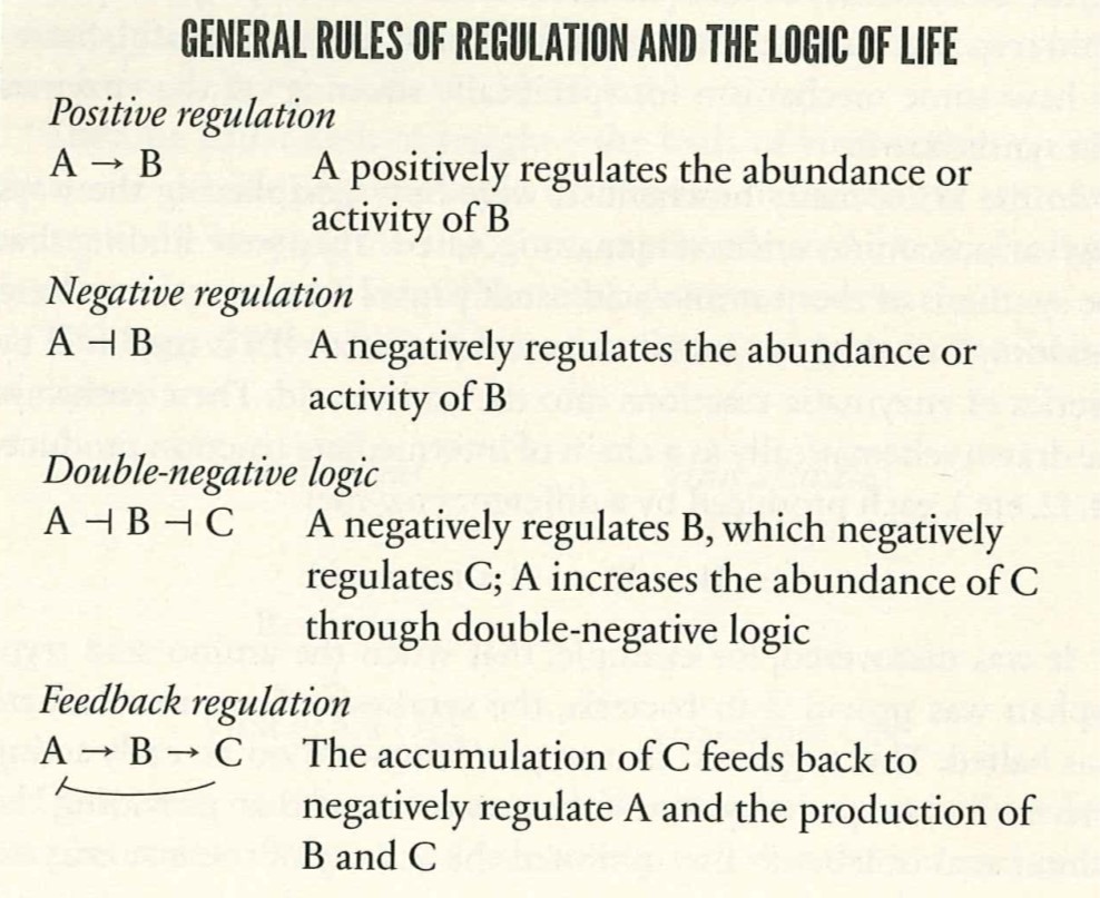 Regulation Across Scales: Data Points on How Life Works
